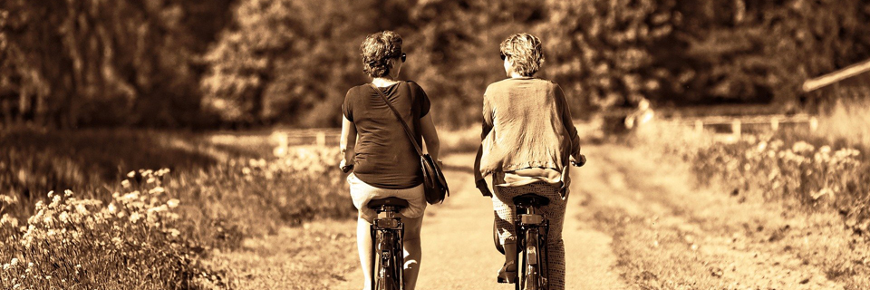 Fransk på Studieskolen